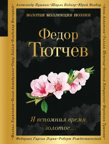 Федор Тютчев - Я вспомнил время золотое... обложка книги