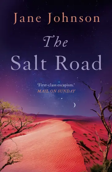Jane Johnson - The Salt Road Jane Johnson - The Salt Road обложка книги