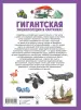 Миниатюра 3