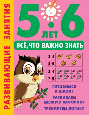 Развивающие занятия. Всё, что важно знать. 5-6 лет Развивающие занятия. Всё, что важно знать. 5-6 лет обложка книги