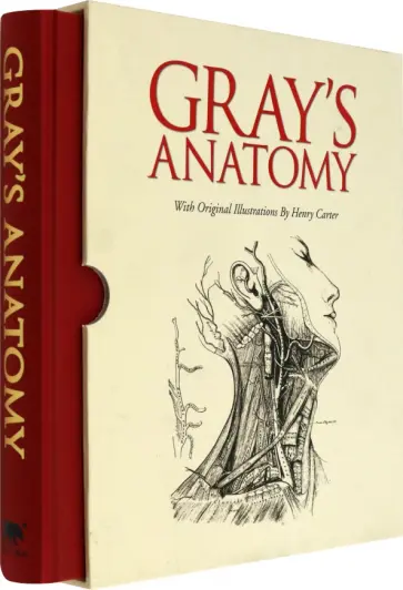 Henry Gray - Gray's Anatomy. With Original Illustrations обложка книги