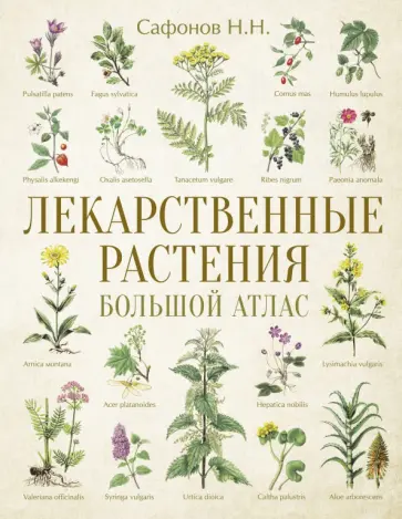 Николай Сафонов - Лекарственные растения. Большой атлас обложка книги