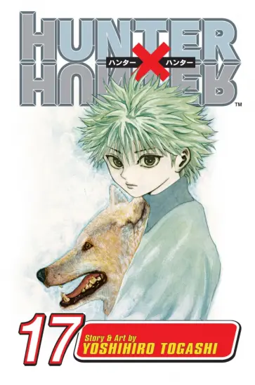 Yoshihiro Togashi - Hunter x Hunter. Volume 17 обложка книги