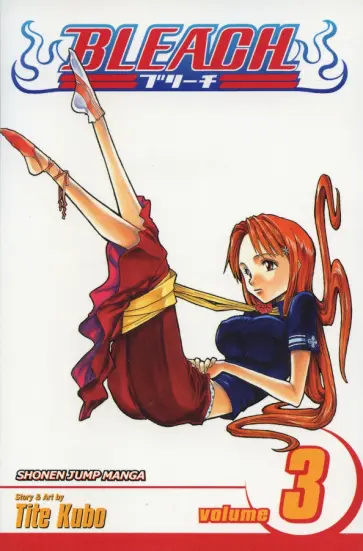 Tite Kubo - Bleach. Volume 3 обложка книги