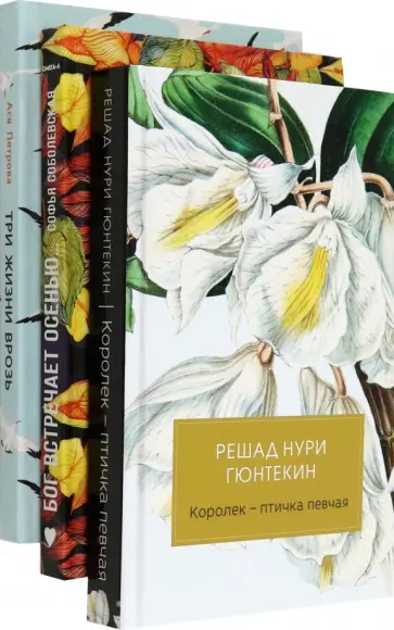 Петрова, Гюнтекин - Женская проза. Комплект из 3-х книг Петрова, Гюнтекин - Женская проза. Комплект из 3-х книг обложка книги