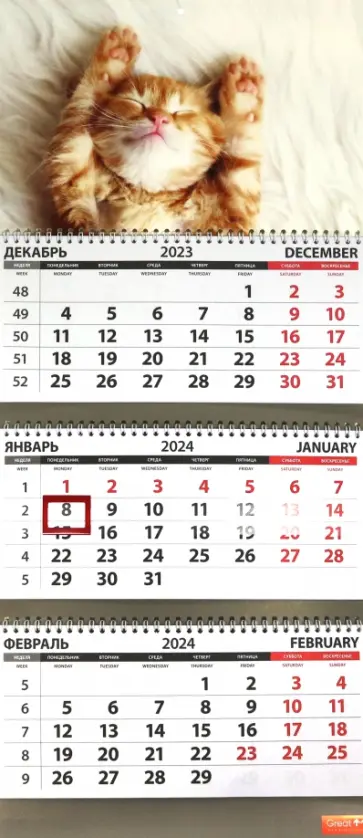 Календарь квартальный на 2024 год Котята. Сон Календарь квартальный на 2024 год Котята. Сон обложка книги