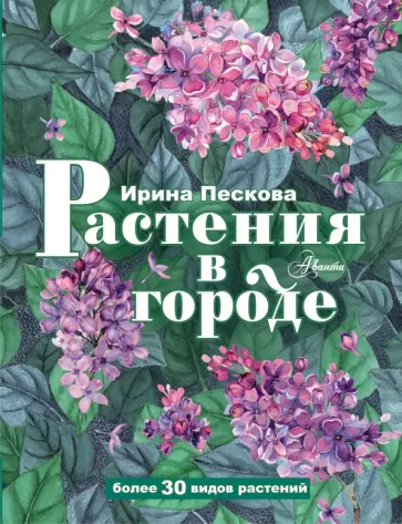 И. Пескова - Растения в городе И. Пескова - Растения в городе обложка книги