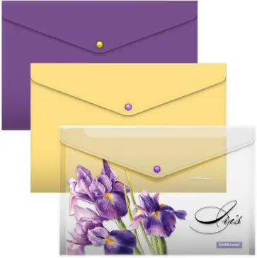 Набор из 3 папок-конвертов пластиковых, A4 обложка книги