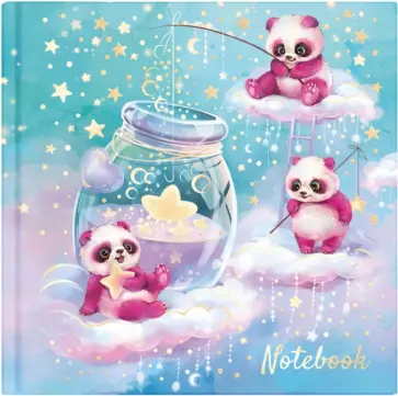 Блокнот Звездолов, 48 листов, точка обложка книги