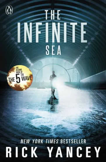 Rick Yancey - The Infinite Sea Rick Yancey - The Infinite Sea обложка книги
