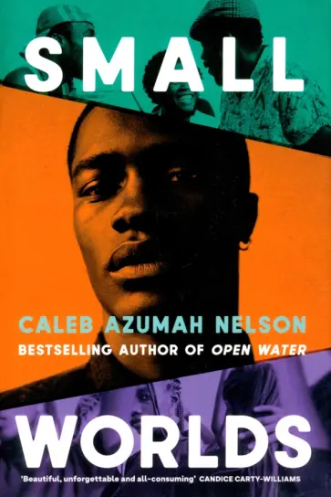 Caleb Nelson - Small Worlds обложка книги
