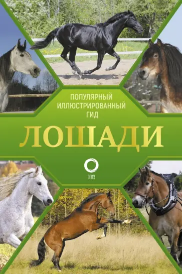 Анна Спектор - Лошади. Иллюстрированный гид Анна Спектор - Лошади. Иллюстрированный гид обложка книги
