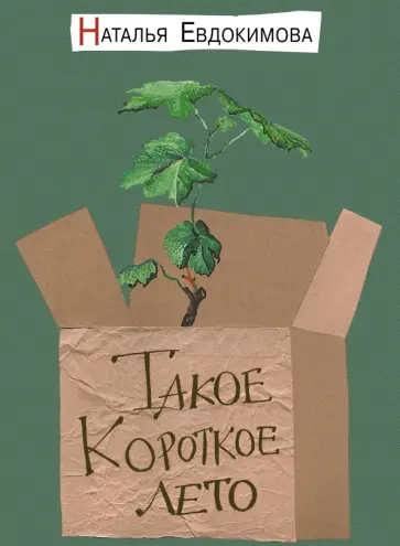 Наталья Евдокимова - Такое короткое лето Наталья Евдокимова - Такое короткое лето обложка книги