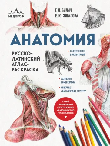 Габриэль Билич - Анатомия. Русско-латинский атлас-раскраска обложка книги