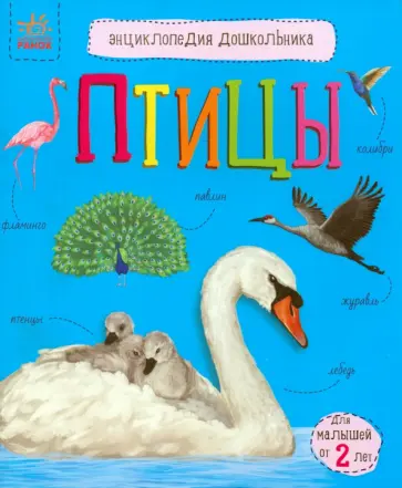 Юлия Каспарова - Птицы обложка книги