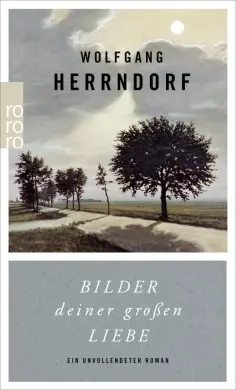 Wolfgang Herrndorf - Bilder deiner großen Liebe. Ein unvollendeter Roman обложка книги