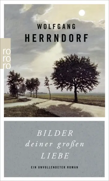 Wolfgang Herrndorf - Bilder deiner großen Liebe. Ein unvollendeter Roman обложка книги