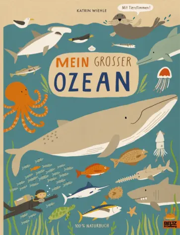 Katrin Wiehle - Mein großer Ozean обложка книги