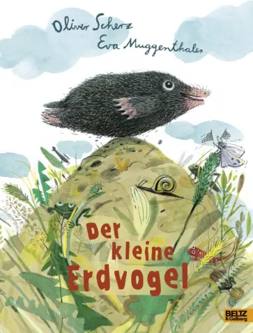 Oliver Scherz - Der kleine Erdvogel обложка книги