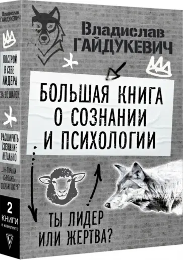 Владислав Гайдукевич - Большая книга о сознании и психологии. Ты лидер или жертва? Владислав Гайдукевич - Большая книга о сознании и психологии. Ты лидер или жертва? обложка книги