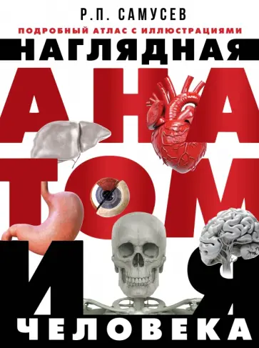 Рудольф Самусев - Наглядная анатомия человека. Подробный атлас Рудольф Самусев - Наглядная анатомия человека. Подробный атлас обложка книги