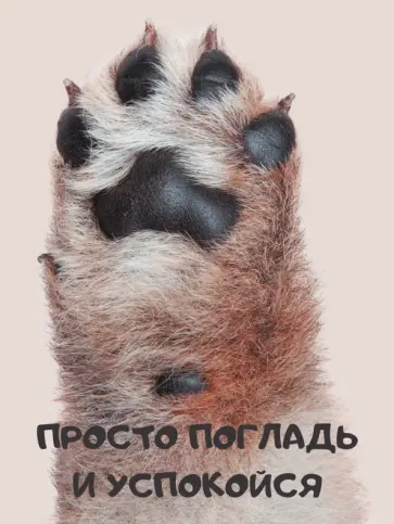 Книга для записей Просто погладь, А6, 80 листов, клетка обложка книги