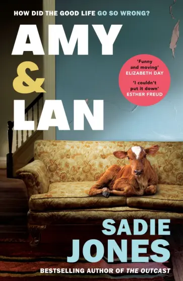 Sadie Jones - Amy and Lan обложка книги