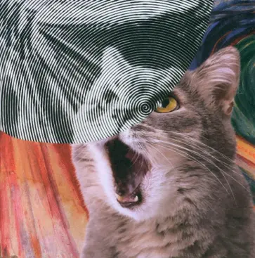 Мир котиков. Спиральная раскраска-антистресс обложка книги