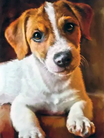 Алмазная мозаика с частичным заполнением на подрамнике Пёс обложка книги