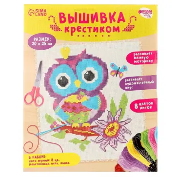 Вышивка крестиком Сова и бабочка обложка книги