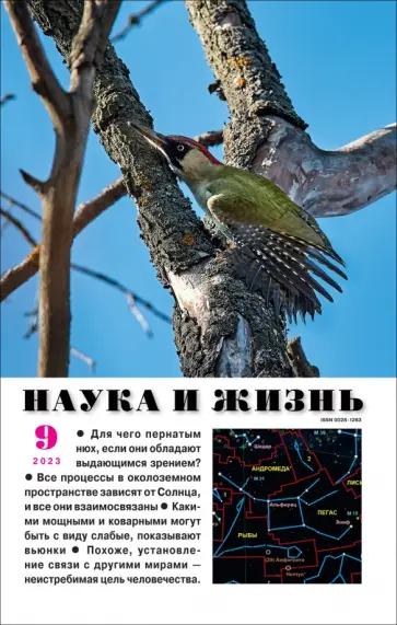 Наука и жизнь. 2023. № 9 обложка книги