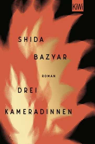 Shida Bazyar - Drei Kameradinnen обложка книги
