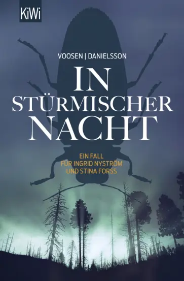 Voosen, Danielsson - In stürmischer Nacht. Ein fall für Ingrid Nystrom und Stina Forss обложка книги
