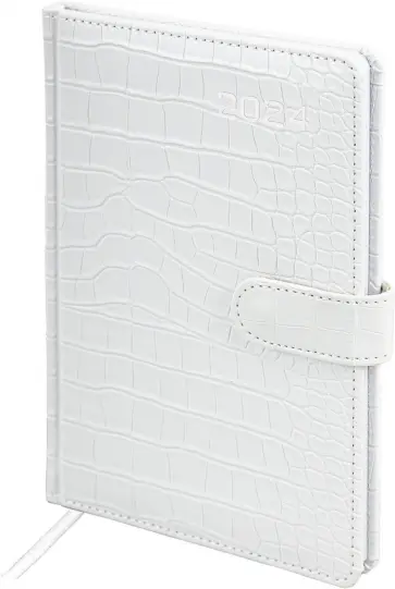 Еженедельник датированный на 2024 год Party, белый, А5, 64 листа обложка книги