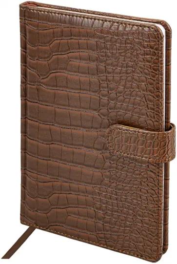 Еженедельник датированный на 2024 год Party, коричневый, А5, 64 листа обложка книги