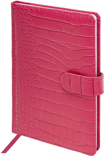 Еженедельник датированный на 2024 год Party, коралловый, А5 обложка книги