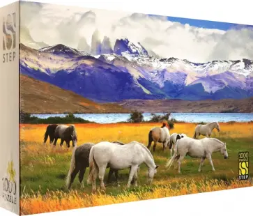 Пазл-1000 Лошади. Чили обложка книги