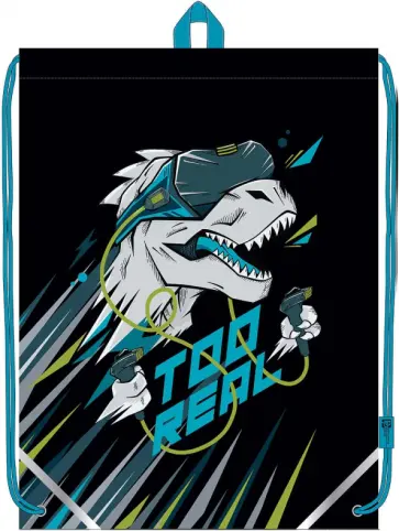 Мешок для сменной обуви Дино-геймер обложка книги