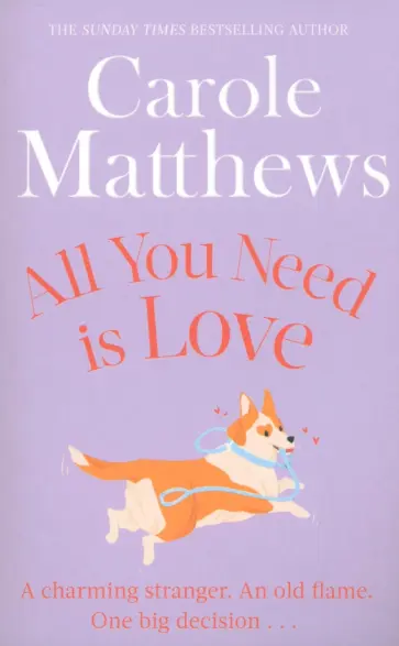 Carole Matthews - All You Need is Love Carole Matthews - All You Need is Love обложка книги