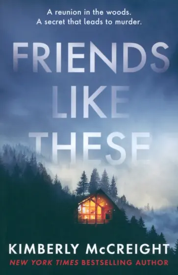 Kimberly McCreight - Friends Like These обложка книги