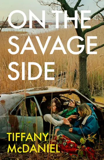 Tiffany McDaniel - On the Savage Side обложка книги