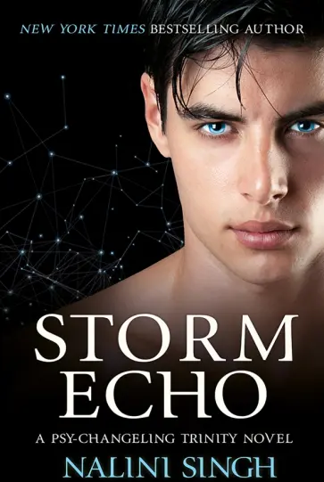 Nalini Singh - Storm Echo обложка книги