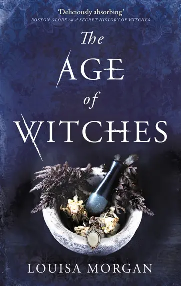 Louisa Morgan - The Age of Witches Louisa Morgan - The Age of Witches обложка книги