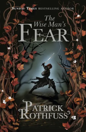 Patrick Rothfuss - The Wise Man's Fear обложка книги