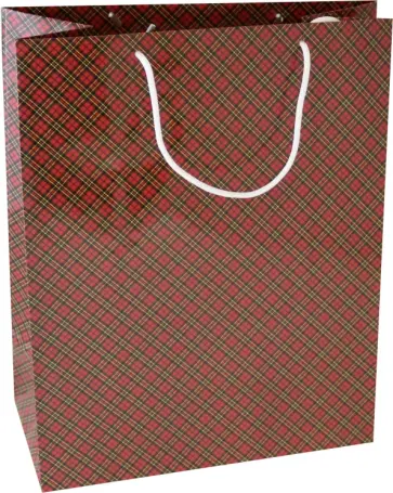 Пакет подарочный Шотландка обложка книги