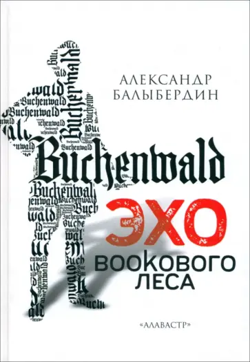 Александр Балыбердин - Эхо Букового леса Александр Балыбердин - Эхо Букового леса обложка книги