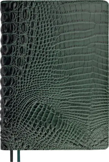 Ежедневник недатированный Аллигатор, зеленый, А5+, 160 листов обложка книги