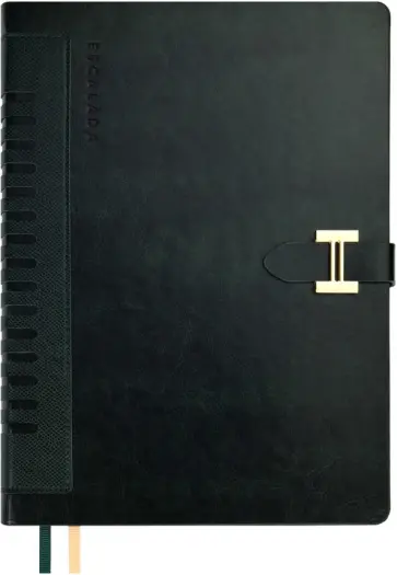 Ежедневник недатированный Сариф экстра, зеленый, А5+, 160 листов обложка книги