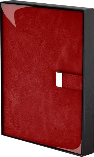 Ежедневник недатированный Шеврет, красный, А5+, 160 листов обложка книги