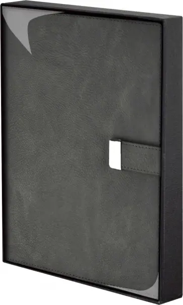 Ежедневник недатированный Шеврет, графит, А5+, 160 листов обложка книги